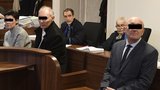 Trest pro Benešovou za restituci Bečvářova statku je podmínka, potvrdil odvolací soud