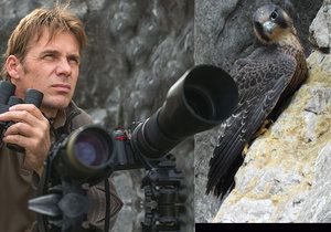 Amatérský ornitolog René Bedan v akci. Doslova si zamiloval sokola stěhovavého, který se po 50 letech vrátil do Moravského krasu.