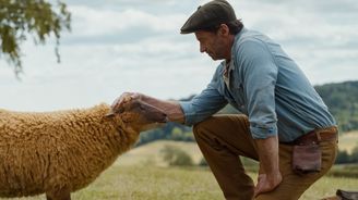 Detektivka pro celé stádo: Na plátna míří bláznivý rodinný film Béé team na stopě Detektivka pro celé stádo: Na plátna míří bláznivý rodinný film Béé team na stopě