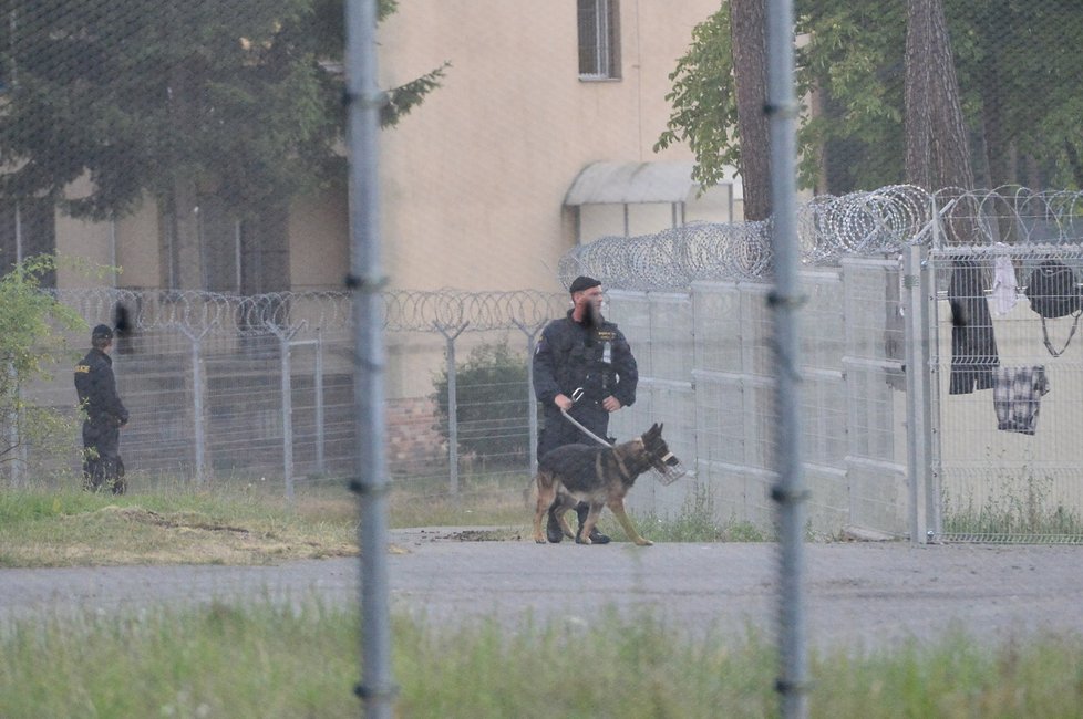 V zařízení pro uprchlíky v Bělé pod Bezdězem navýšili kapacitu