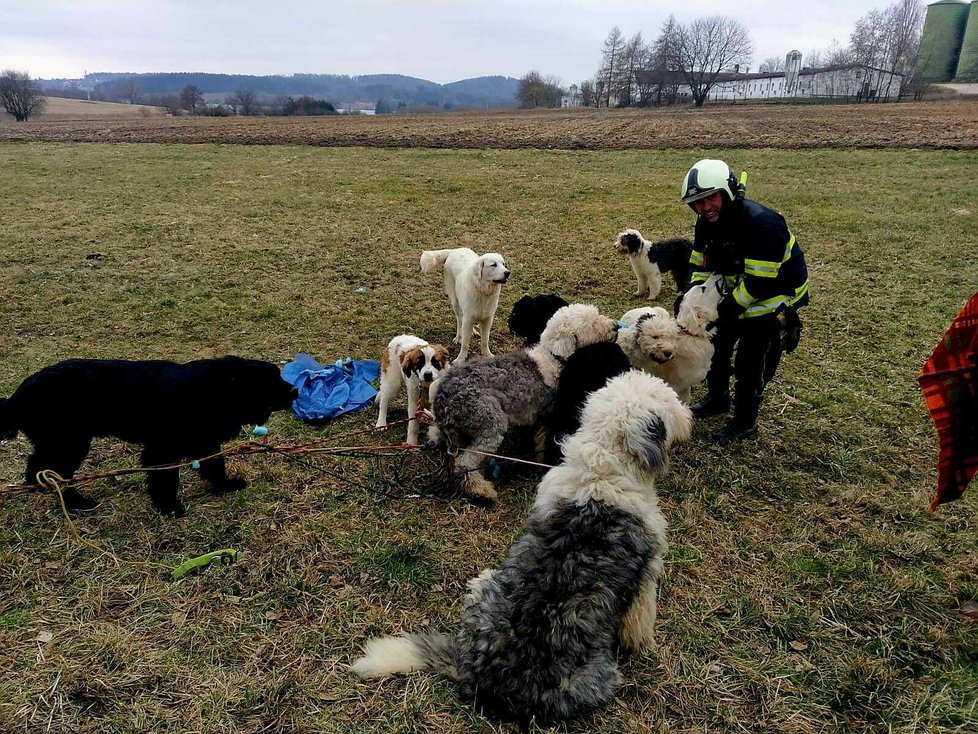 Nehoda dodávky u Bělčic