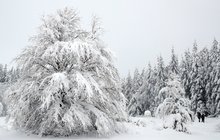 Alarmující PŘEDPOVĚĎ POČASÍ: Bude až minus...