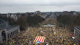 V ulicích Bruselu se 7. prosince sešli demonstranti na podporu Madridem sesazené katalánské vlády. Protest pod heslem Probuď se, Evropo! Pomoz Katalánsku! svolaly dvě katalánské separatistické organizace.