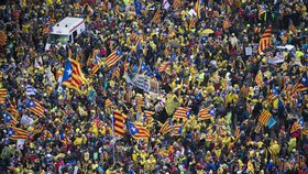 V ulicích Bruselu se 7. prosince sešli demonstranti na podporu Madridem sesazené katalánské vlády. Protest pod heslem Probuď se, Evropo! Pomoz Katalánsku! svolaly dvě katalánské separatistické organizace.