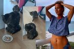 Zuzana Belohorcová se bojí o jednu ze svých dvou zachráněných kočiček.