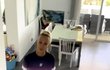 Zuzana Belohorcová s epochlubila bydlením na Tenerife Zuzana Belohorcová s epochlubila bydlením na Tenerife