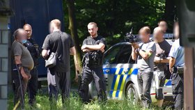 Policisté v lesoparku Bělský les v Ostravě vyšetřují vraždu. Tělo ženy leželo nedaleko vodárny.