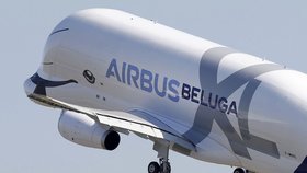 Z letiště v Toulouse poprvé vzlétl nový model obřího nákladního letounu Airbus Beluga XL. Oproti svému předchůdci je o 30 procent větší (19.7. 2018).