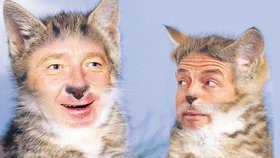 Podle nahrávek telefonních rozhovorů se Janoušek s Bémem titulovali "koťátka".Jejich činy ale spíš odpovídaly řádění vyčůraných kocourů...