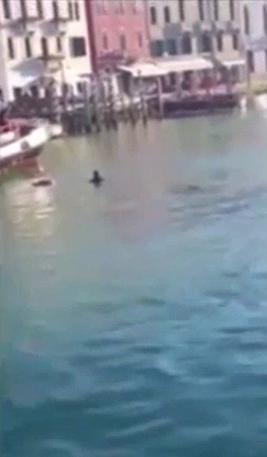 Africký migrant se utopil v Benátkách před zraky desítek lidí.