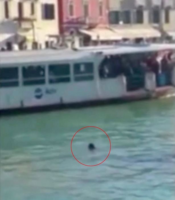Africký migrant se utopil v Benátkách před zraky desítek lidí.