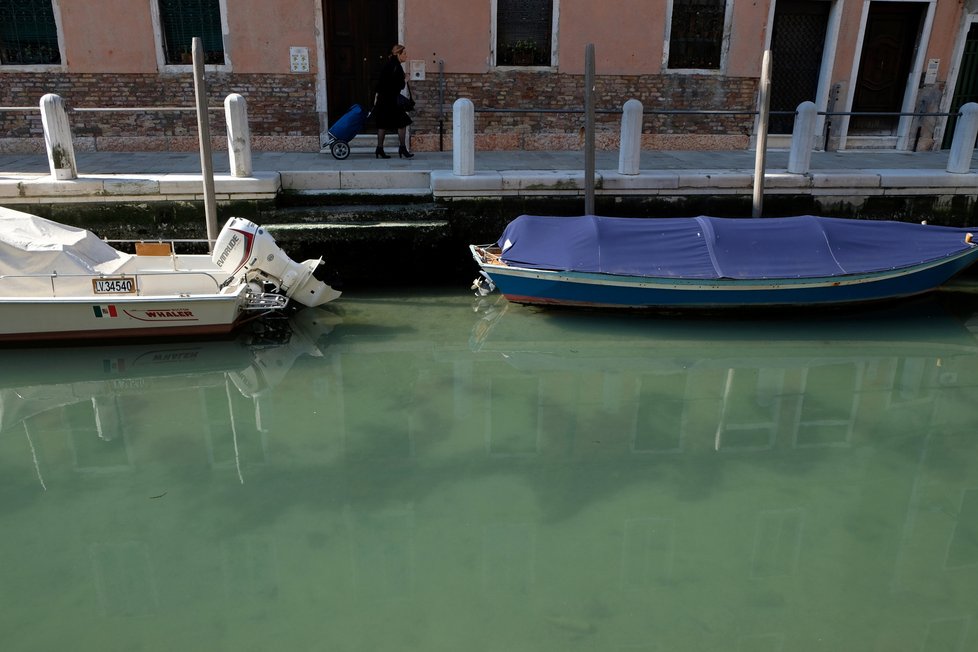 V italských Benátkách se kvůli omezení vycházení a úbytku lodní dopravy pročistila voda, do které se vrátily ryby.