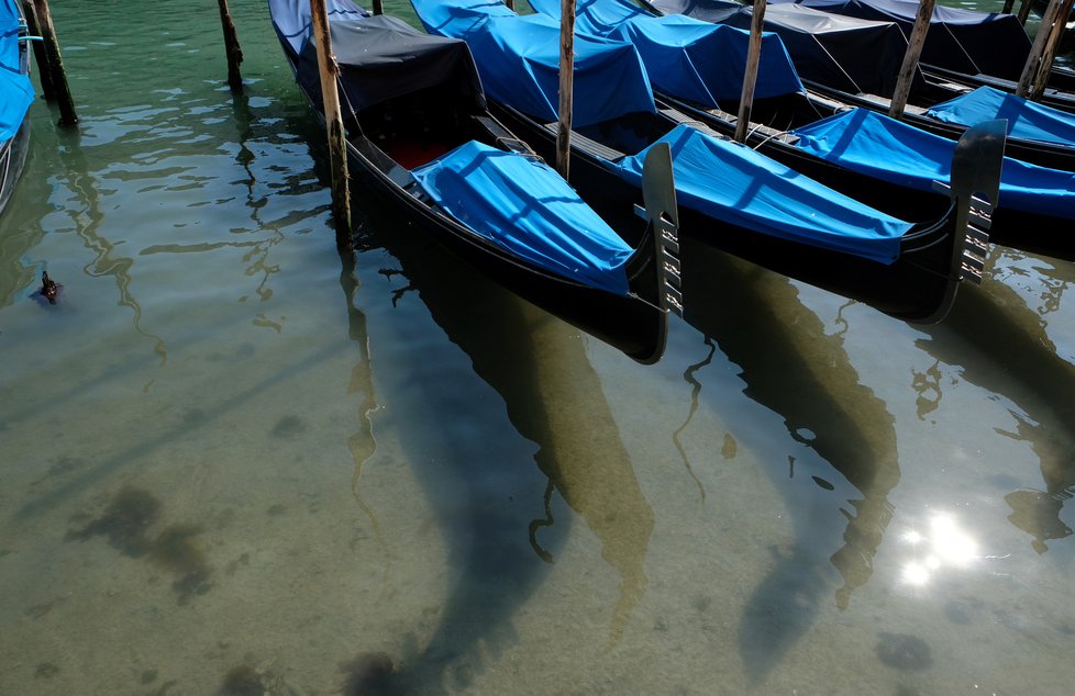 V italských Benátkách se kvůli omezení vycházení a úbytku lodní dopravy pročistila voda, do které se vrátily ryby.