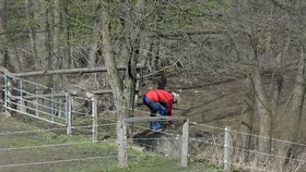 Petr Bendl v den, kdy se měl věnovat voličům, dal přednost zvelebování svého statku.