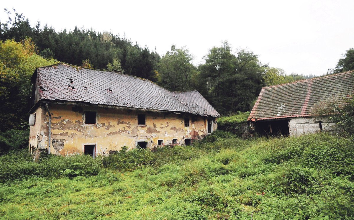 Ruin ve Skřivani na Rakovnicku se Bendl zbavil. Prodal je za 890 tisíc.