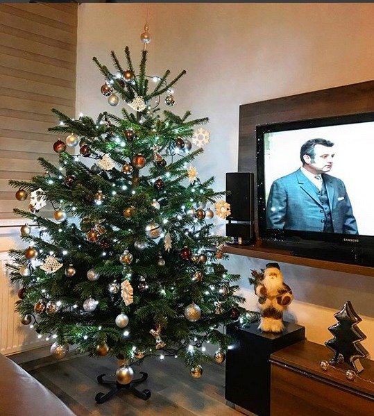 Hanka Mašlíková (35) neponechala nic náhodě a na sociální síti se týden před Vánoci pochlubila fotkou nazdobeného stromečku.