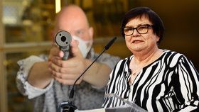 Češi by mohli mít právo bránit se se zbraní v ruce. Ministryně spravedlnosti Marie Benešová (za ANO) zmínila vášnivou debatu.
