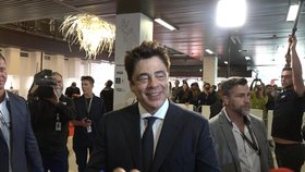 Benicio del Toro