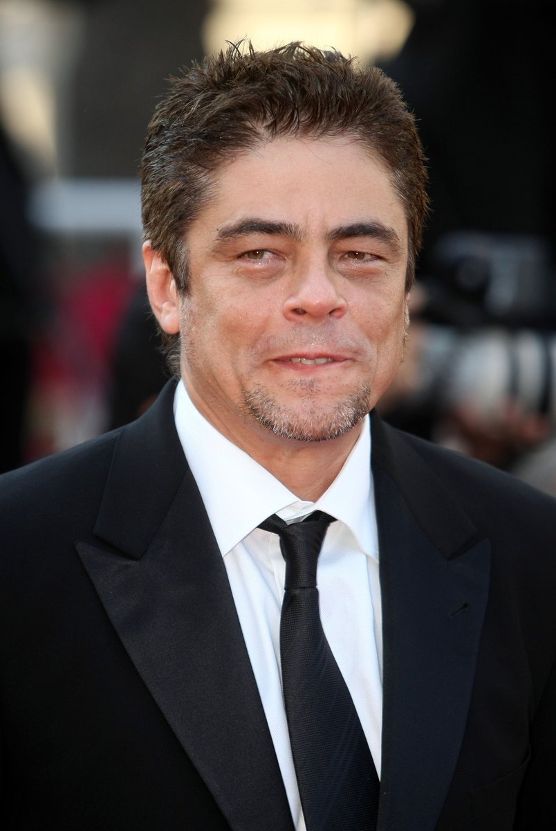 Benicio Del Toro