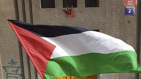 Kočárek má plně naložený a jde pěšky do Palestiny.