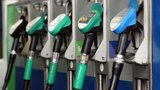 Benzin i nafta v Česku zdražují, ceny jsou nejvyšší za několik měsíců. Experti: Porostou dál