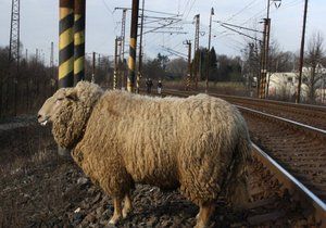 Beran zastavil vlaky u Karlštejna.