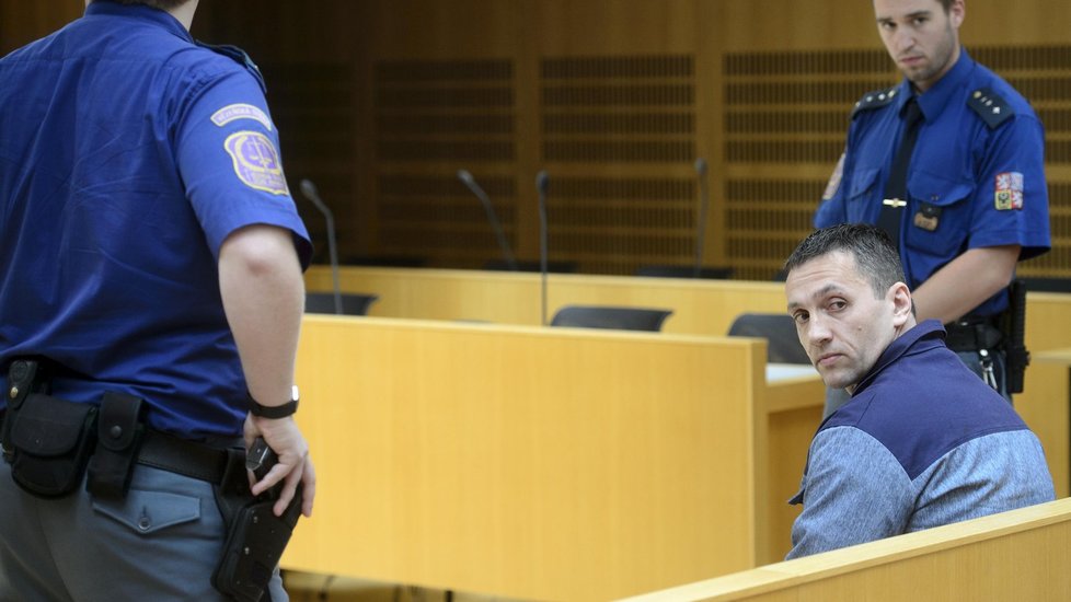 Soud propustil Davida Berdycha na svobodu po 11 letech
