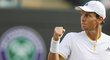 Tomáš Berdych si podruhé za sebou zahraje semifinále Wimbledonu. Ve čtvrtfinále vedl nad Djokovičem 7:6, 2:0, pak Srb zápas kvůli zranění vzdal.