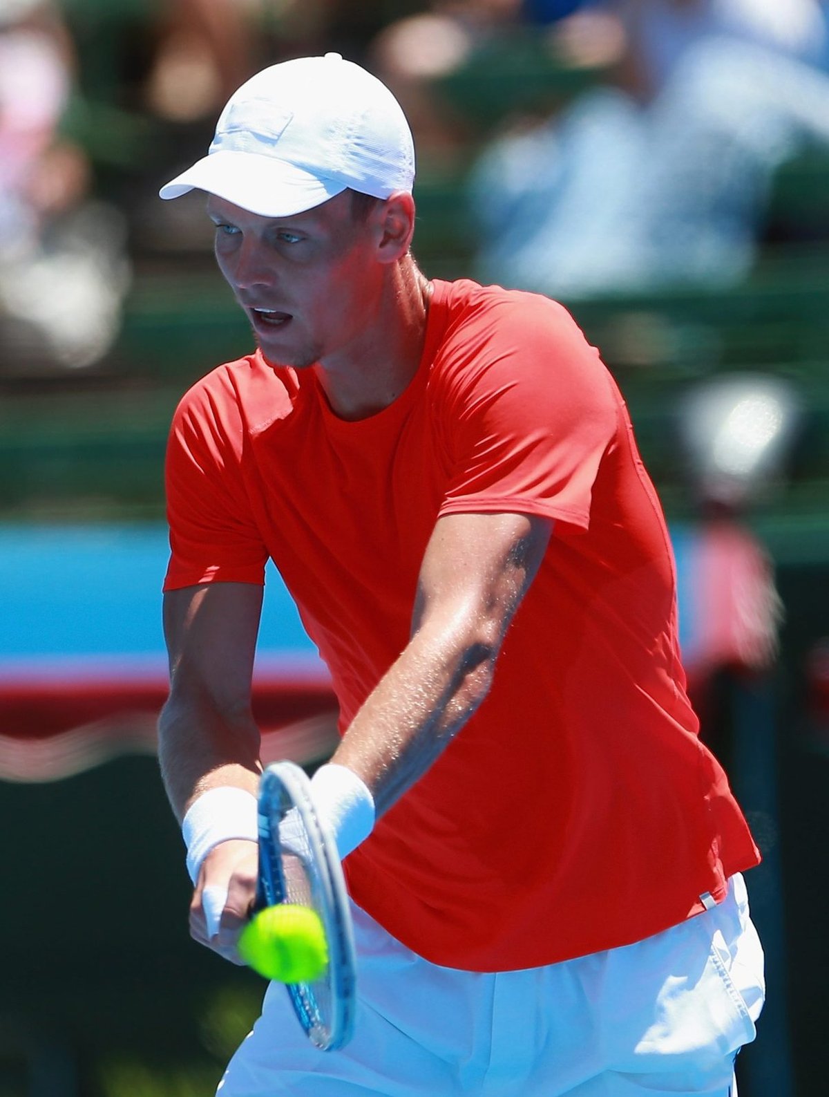 Berdych