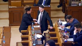 Poslankyně ANO Berenika Peštová ve Sněmovně se šéfem Motoristů Petrem Macinkou