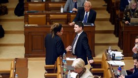 Poslankyně ANO Berenika Peštová ve Sněmovně se šéfem Motoristů Petrem Macinkou