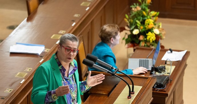 Poslankyně ANO Berenika Peštová ve Sněmovně
