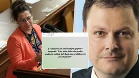 Asistent poslankyně ANO Bereniky Peštové (ANO) měl homofobně nadávat a urážet.