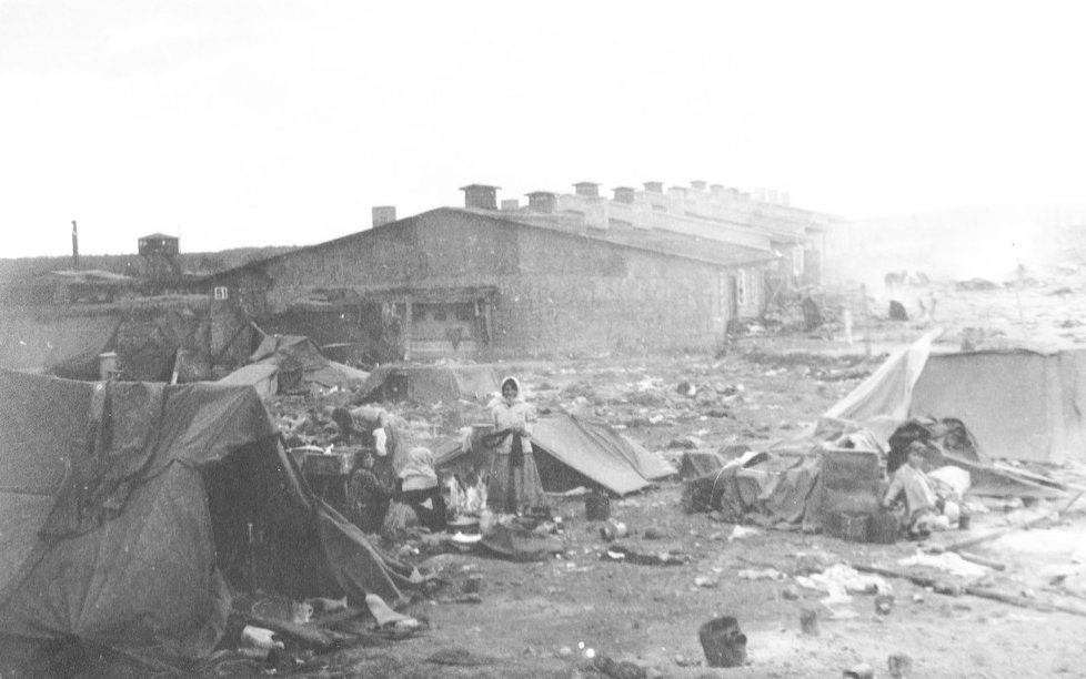 Fotografie z osvobození Bergen-Belsenu