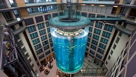Obří akvárium, které prasklo v luxusním hotelu: Složitá záchrana ryb! Některé umrzly, jiné přežily v loužích