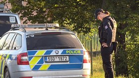 Muž se zabarikádoval v domě, podle svědků padly výstřely.