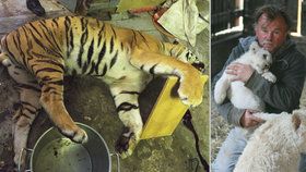 Berousek má na nechutném obchodě s tygřími těly zřejmě podíl.