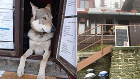 Lidé si na sociální síti radí, jak obejít vládní nařízení. Do hor chtějí vyrazit kvůli nákupům.