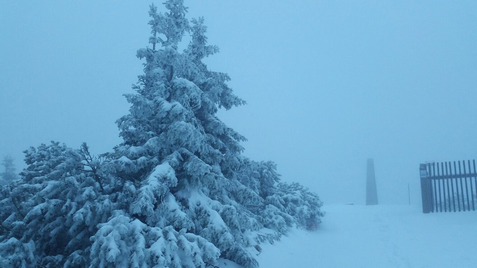 Dnes ráno v 8 hod byla celková sněhová pokrývka 38 cm, sněží a teplota - 1.5 °C, díky nárazovému větru se zde vytvářejí 60 - 70 cm sněhové závěje.