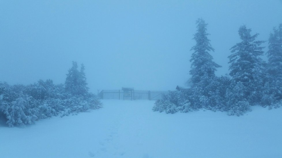 Dnes ráno v 8 hod byla celková sněhová pokrývka 38 cm, sněží a teplota - 1.5 °C, díky nárazovému větru se zde vytvářejí 60 - 70 cm sněhové závěje.