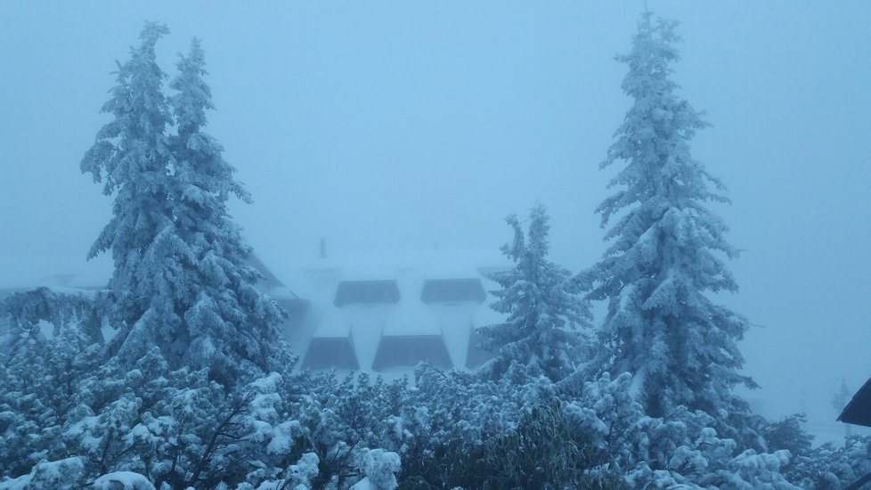 Dnes ráno v 8 hod byla celková sněhová pokrývka 38 cm, sněží a teplota - 1.5 °C, díky nárazovému větru se zde vytvářejí 60 - 70 cm sněhové závěje.