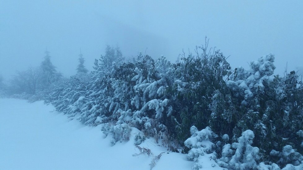 Dnes ráno v 8 hod byla celková sněhová pokrývka 38 cm, sněží a teplota - 1.5 °C, díky nárazovému větru se zde vytvářejí 60 - 70 cm sněhové závěje.