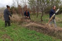 Medvědi, vlci i rysové mají na Jablunkovsku svou "dálnici": Najdou tu i občerstvení