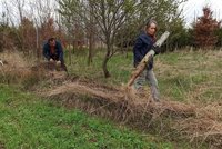 Medvědi, vlci i rysové mají na Jablunkovsku svou "dálnici": Najdou tu i občerstvení