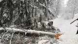 Na běžkařku v Beskydech spadl vzrostlý strom, je vážně zraněná