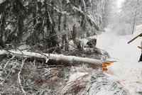 Na běžkařku v Beskydech spadl vzrostlý strom, je vážně zraněná