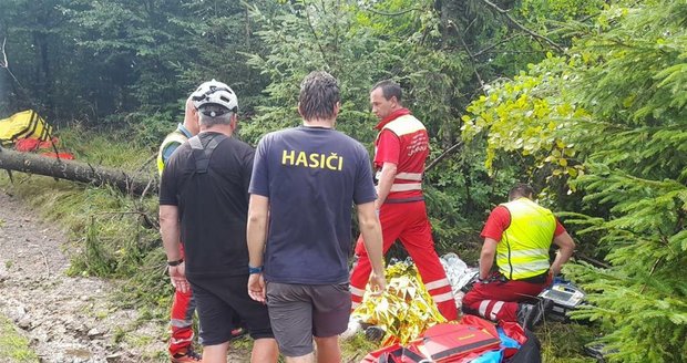 Hasiči, horská služba a zdravotníci zachraňovali muže (31), na kterého v terénu lokality Bílá spadl strom. Náročnou akci ještě více komplikovalo počasí.