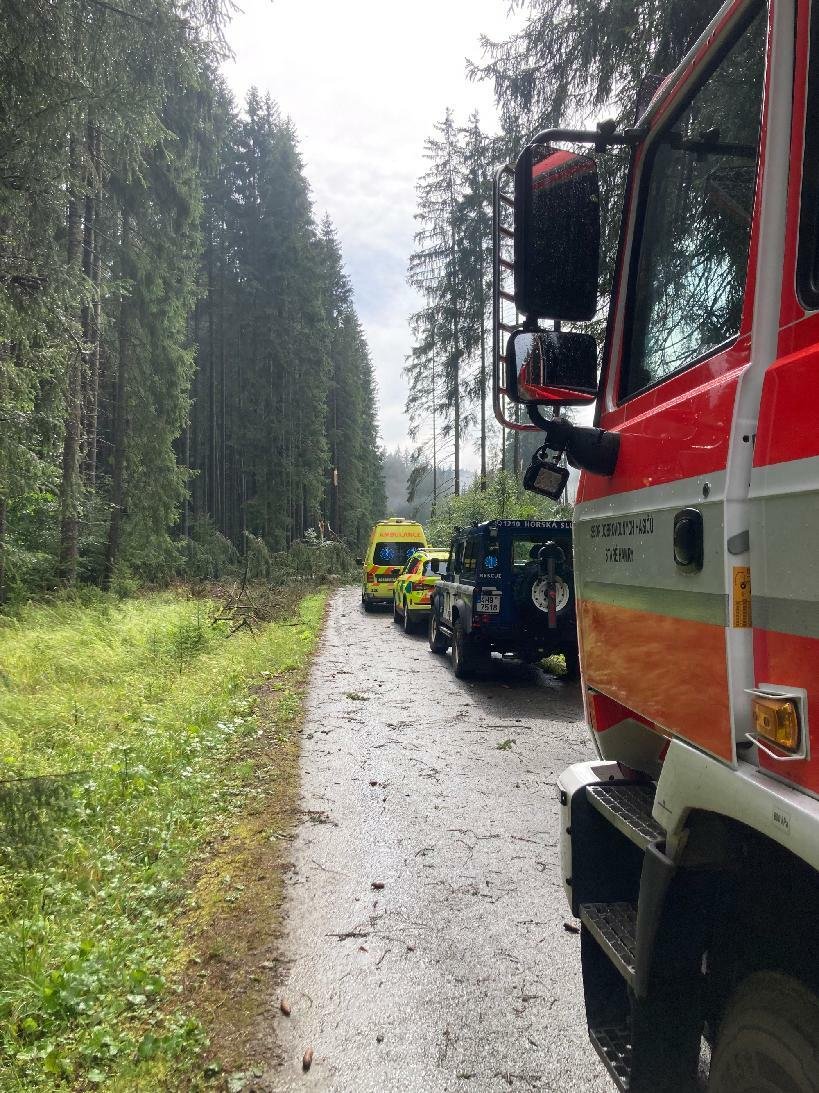 Hasiči, horská služba a zdravotníci zachraňovali muže (31), na kterého v terénu lokality Bílá spadl strom. Náročnou akci ještě více komplikovalo počasí.