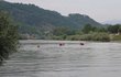 Řeka Drina