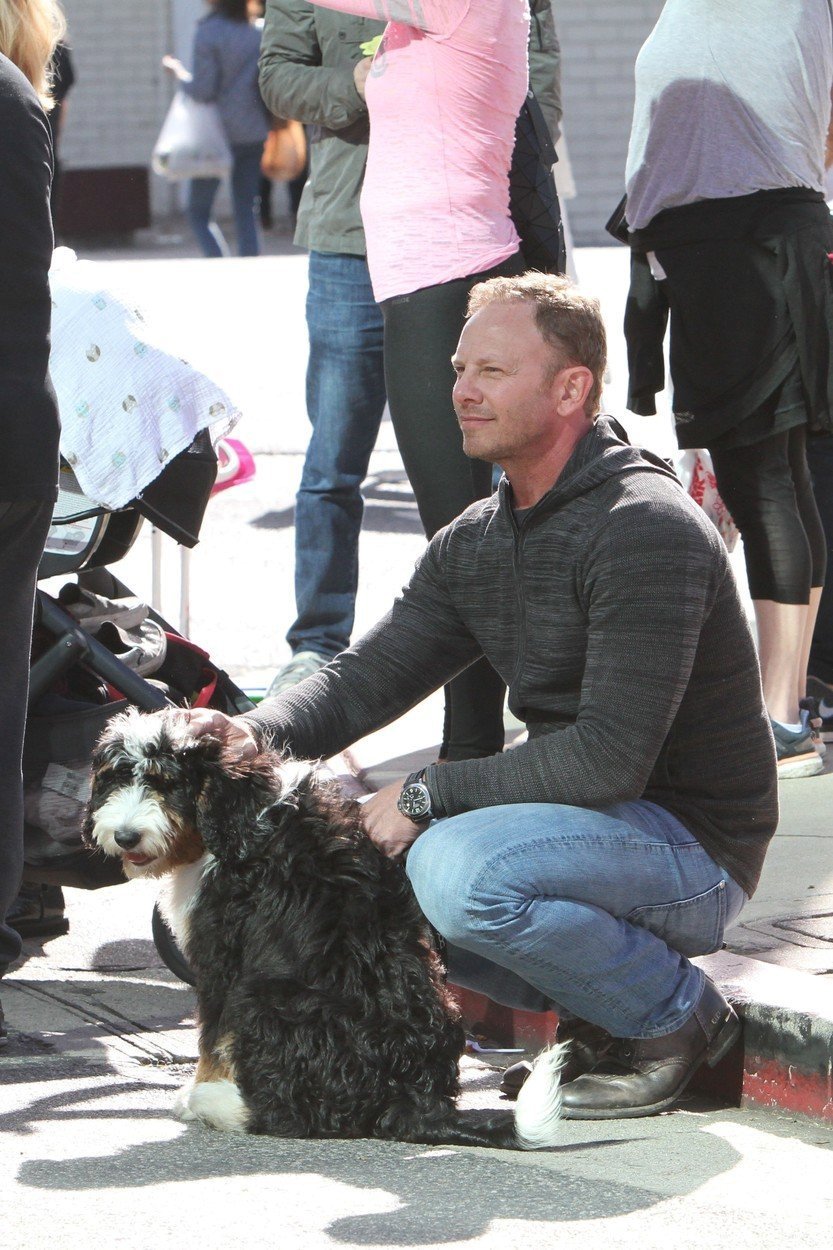 Ian Ziering alias Steve z Beverly Hills 90210